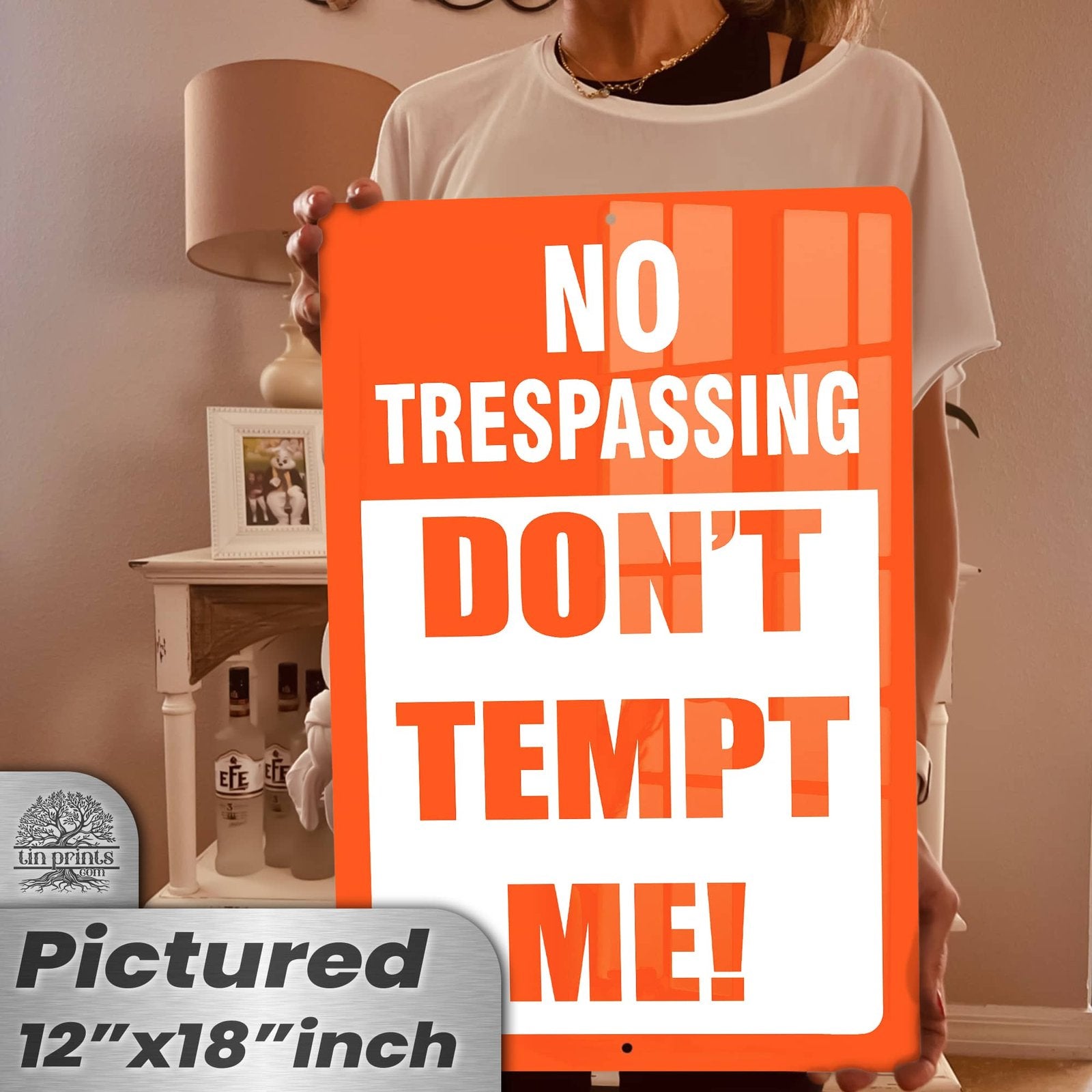 1024.dogs In Yard Do Not Enter Metal Tin Sign, 12x18 in, Indoor/Outdoor Decorative Sign - a4